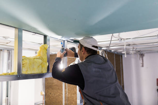 Best Insulation Maintenance and Repair in Port Wentworth, GA