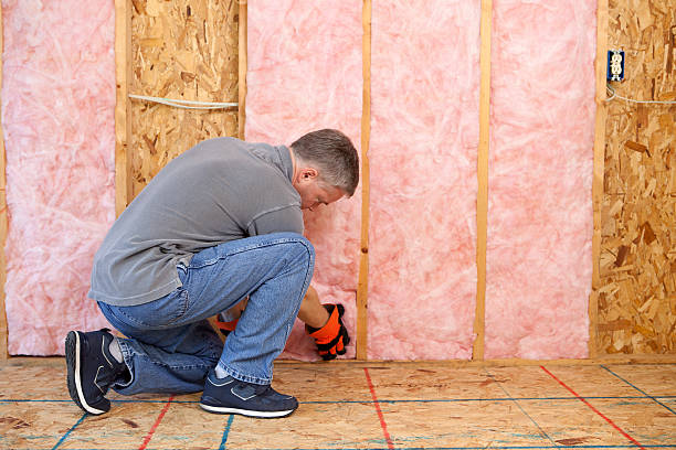 Best Cellulose Insulation in Port Wentworth, GA
